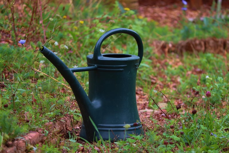 Watering Can